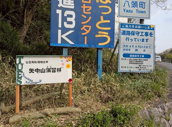 photo8