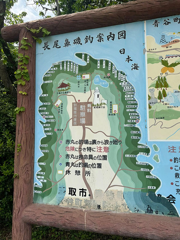 photo7