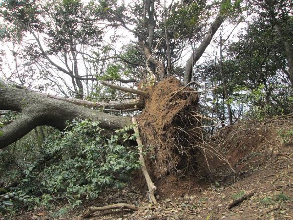 photo1