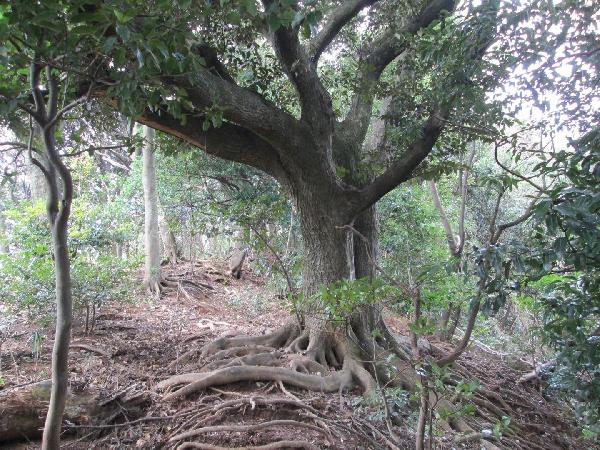photo2